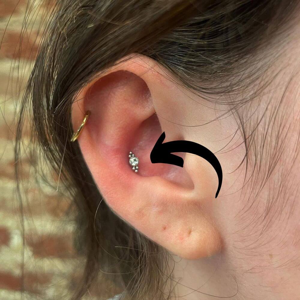 Conch Piercing