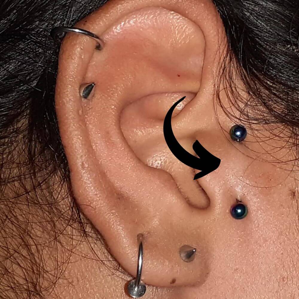 Vertical Tragus Piercing