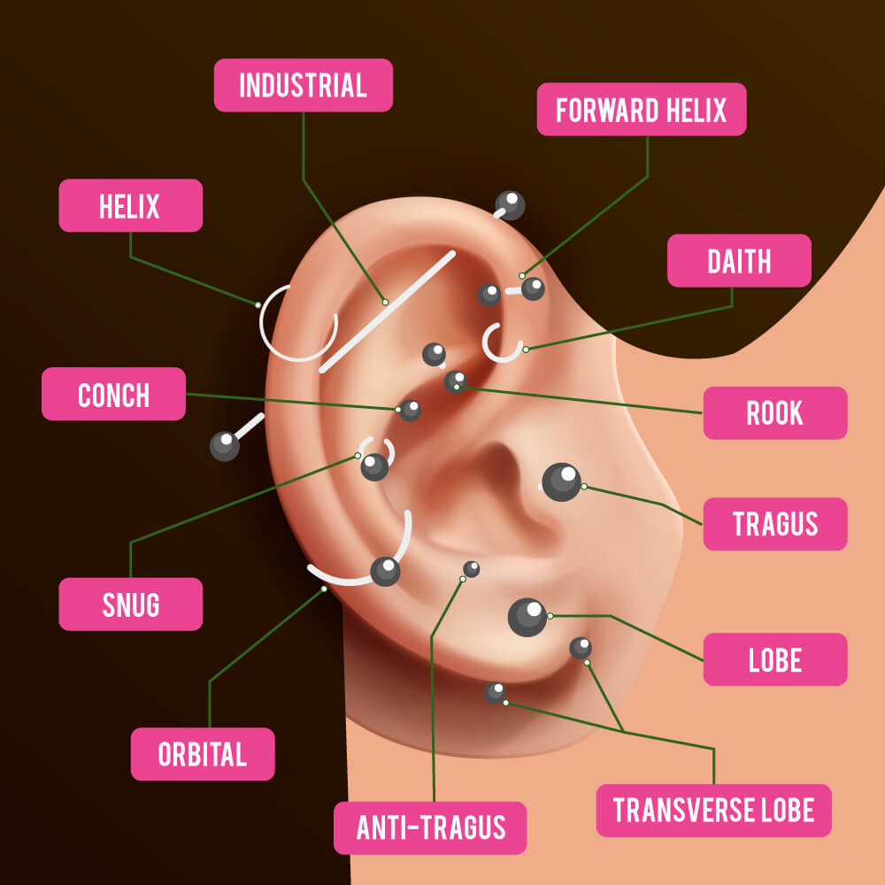 Ear Piercings Chart Different Name of Piercings