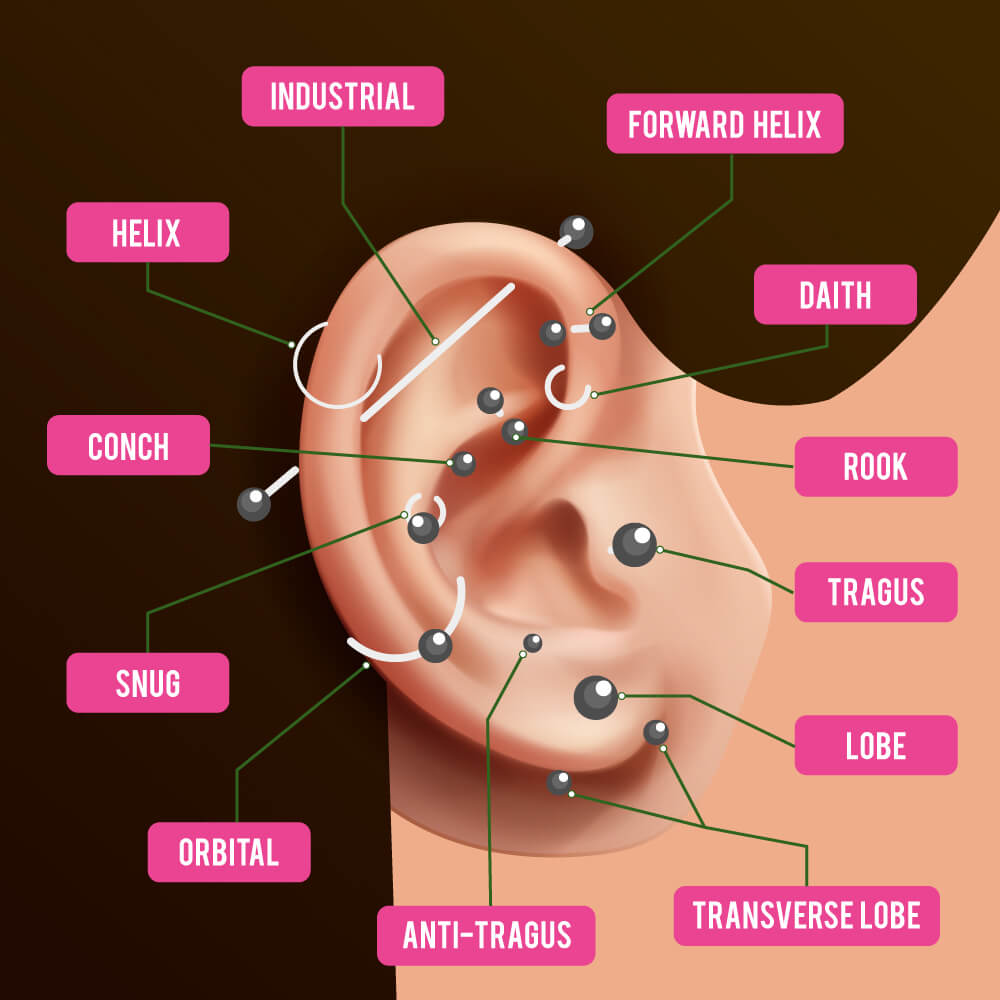 Ear Piercings Types of Ear Piercings  Pamela Love